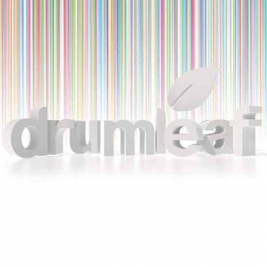 Drumleaf